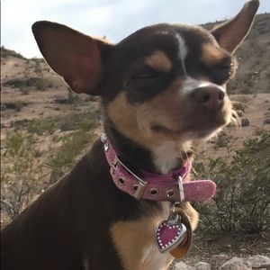 Meet your Posher, Fern